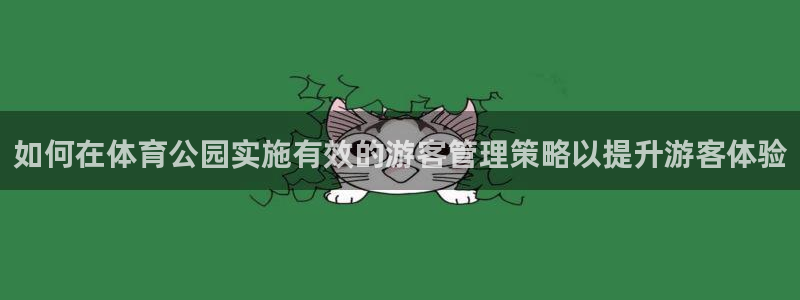 必一运动验证码：如何