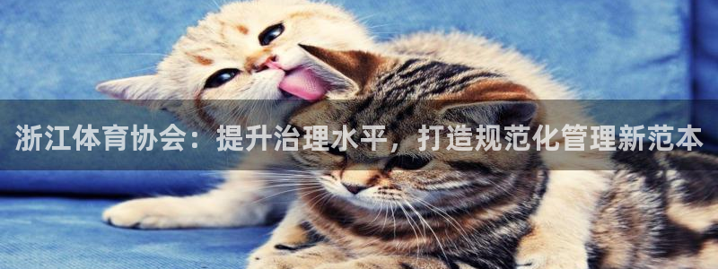必一体育app官方下