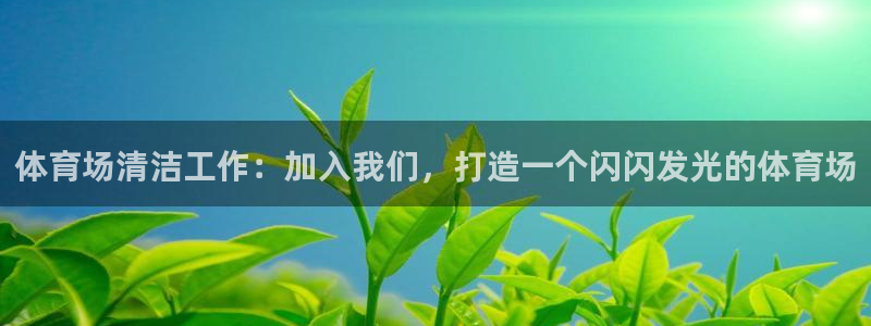 必一体育是啥：体育场