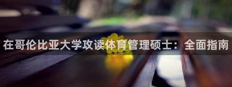 必一体育官方app下
