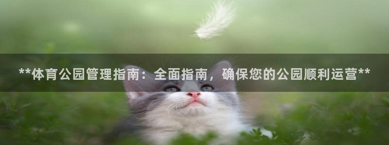 必一体育登录入口AP