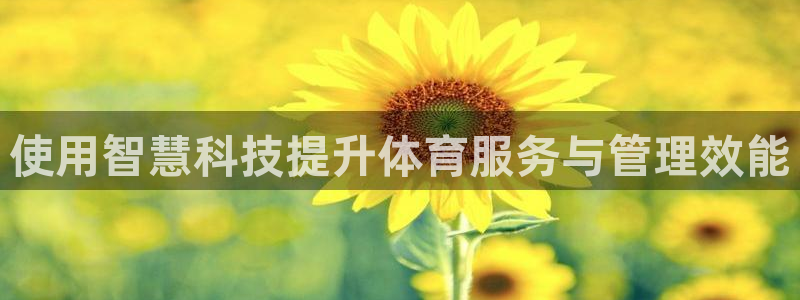 必一体育在线玩：使用