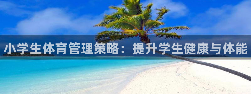 必一体育验证码：小学