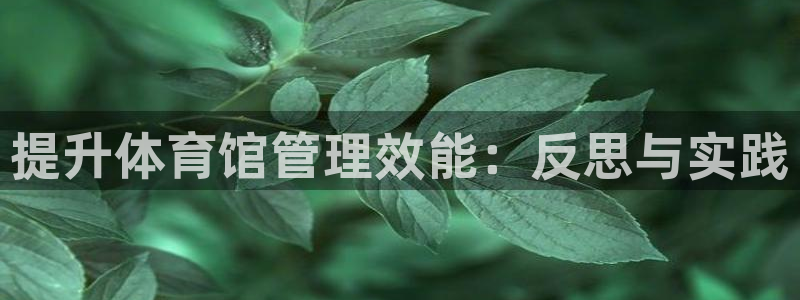 必一体育sport下
