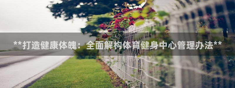 必一体育APP：**