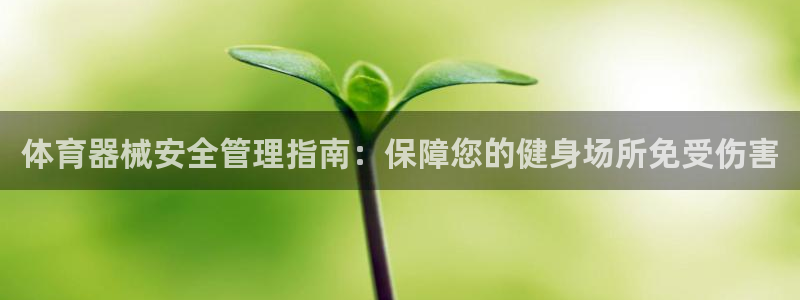 必一体育运动平台官网