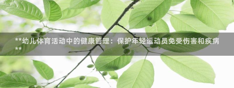 必一体育bsport