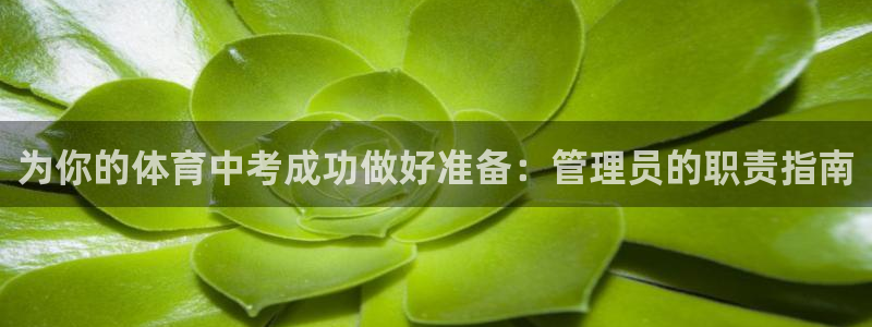 必一体育bsport