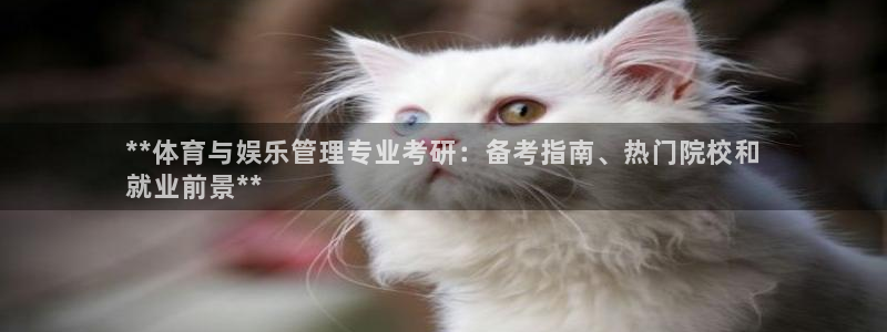 必一体育网页登录版官