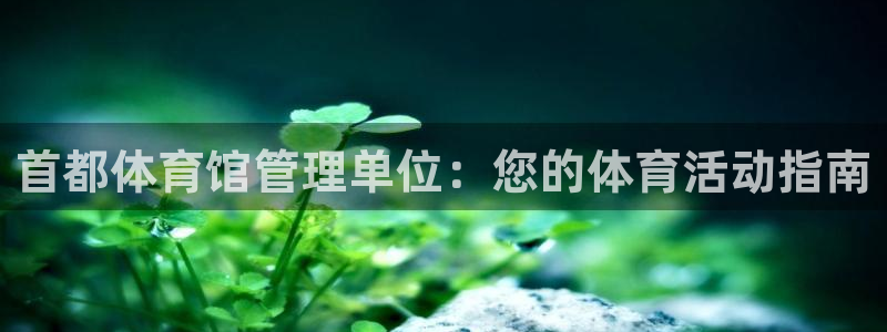 必一运动sport爱