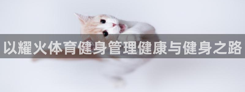 必一体育官方网站入口