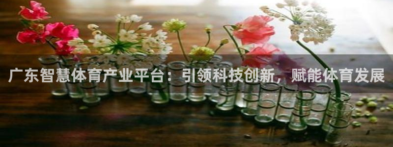 必一体育网址：广东智
