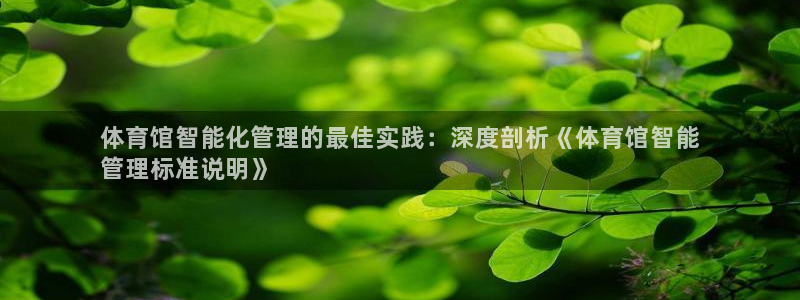 必一体育官网网址：体