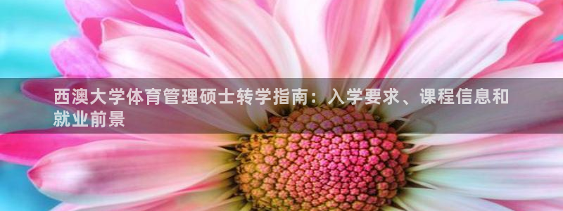 必一体育在线官网：西