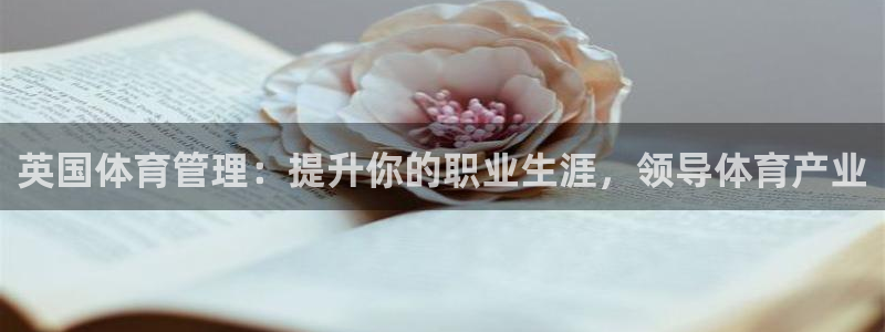 必一体育sport装