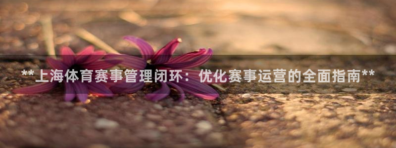必一体育登入：**上