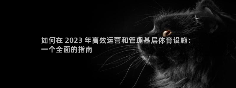 必一体育网页：如何在