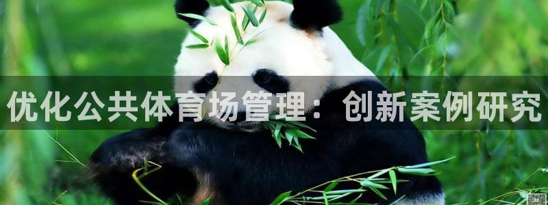 必一体育怎么下载：优