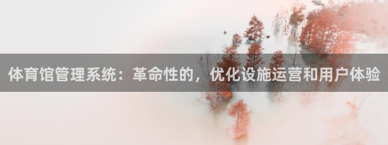 必一体育sport下