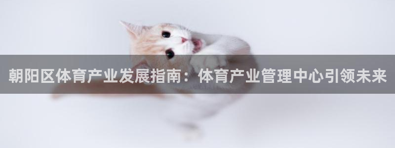必一体育全站在线登录
