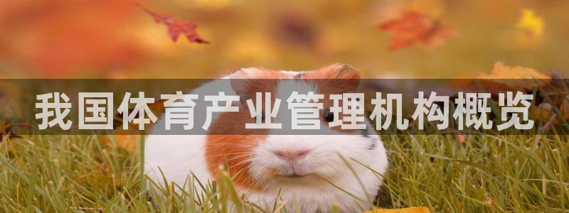 必一体育官网网址：我