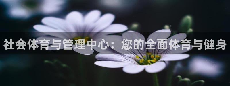 必一体育在线登陆：社