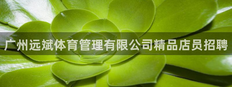 必一运动体育官网下载