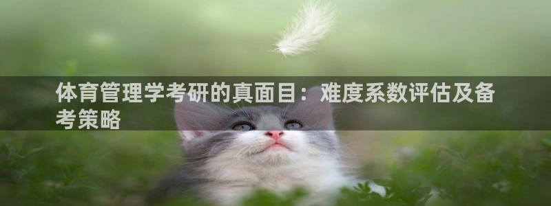 必一体育sport网