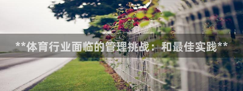必一体育运动平台官网