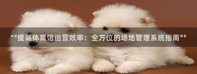 必一体育官网ios下
