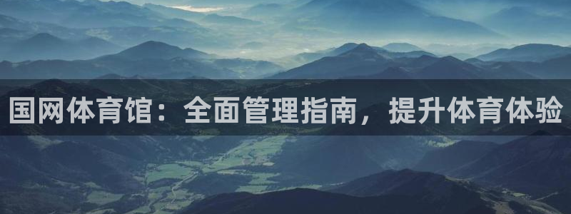 必一体育网址：国网体