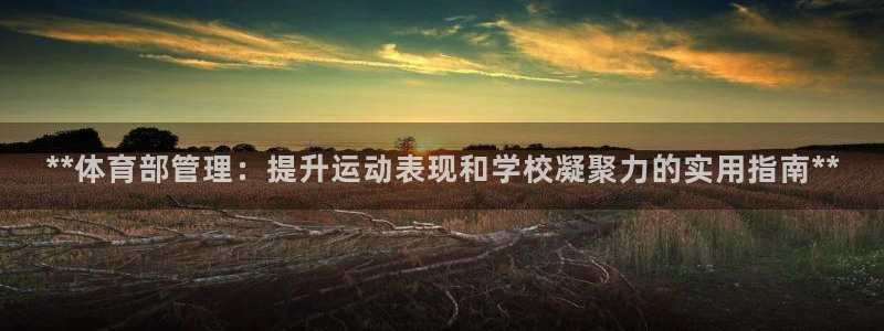 必一体育在线登陆：*