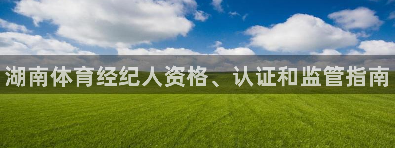 必一体育网址：湖南体