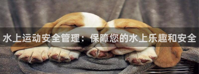 必一体育怎么下载：水