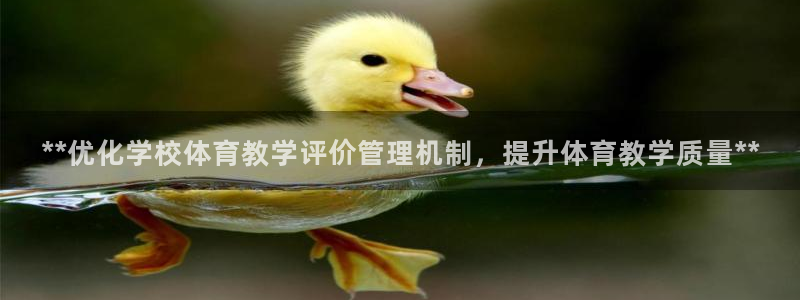 必一体育APP：**