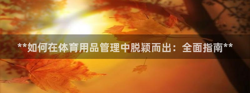 必一体育下载app：