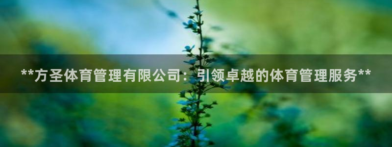 必一体育：**方圣体