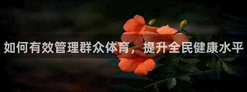 必一体育sport官
