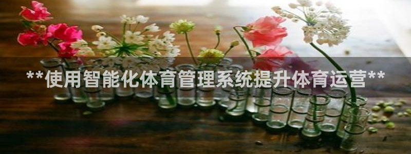 必一体育sport官
