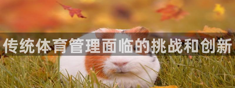 必一体育app下载安