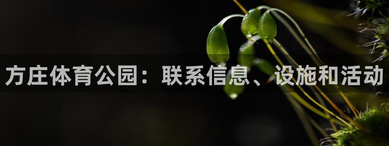 必一体育在线登陆：方