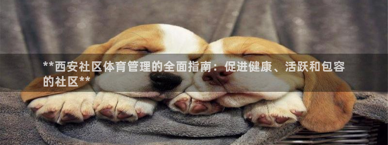 必一体育登录APP下