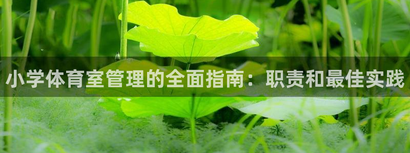 必一体育sportB
