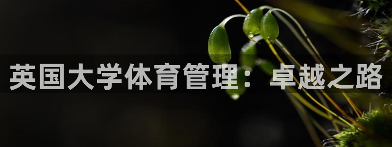 氵必一一厂一：英国大