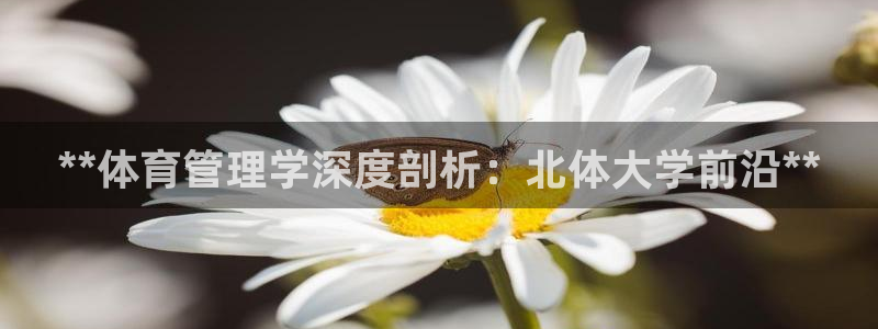 必一体育app下载装