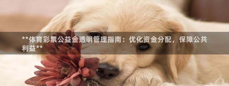 必一体育秀给网：**体育彩票公益金透明管理指南：优化资金分配