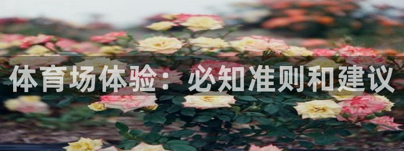 必一体育下载app：