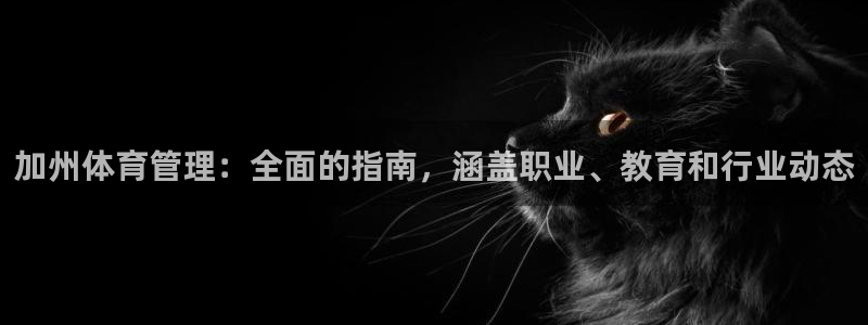 必一体育最新官网入口