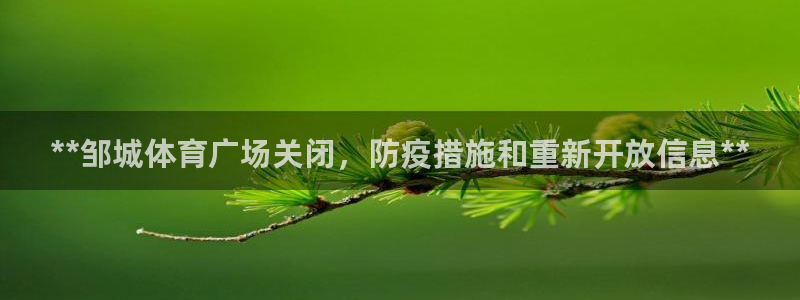 Bsport体育必一：**邹城体育广场关闭，防疫措施和重新开