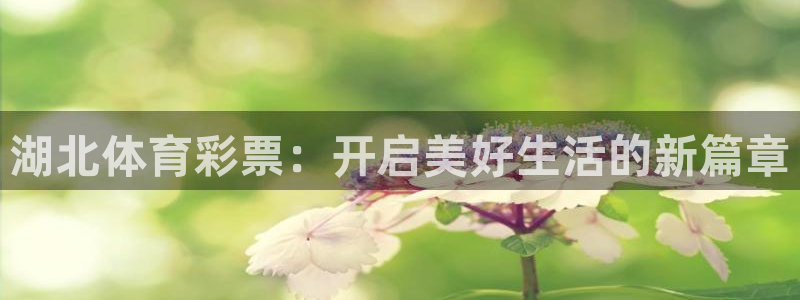 必一体育下载登入：湖
